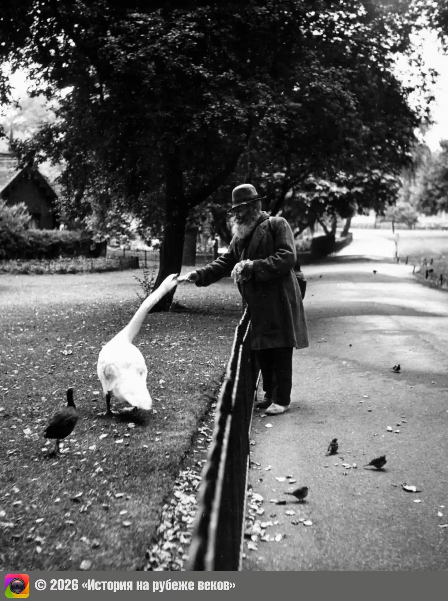 Сент-Джеймсский парк, Лондон, 1950 год