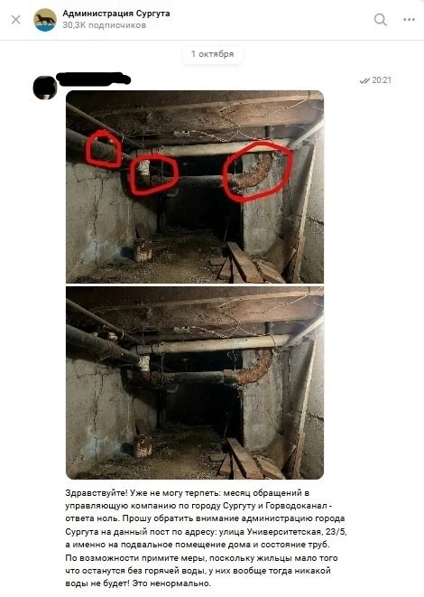 От подписчика: