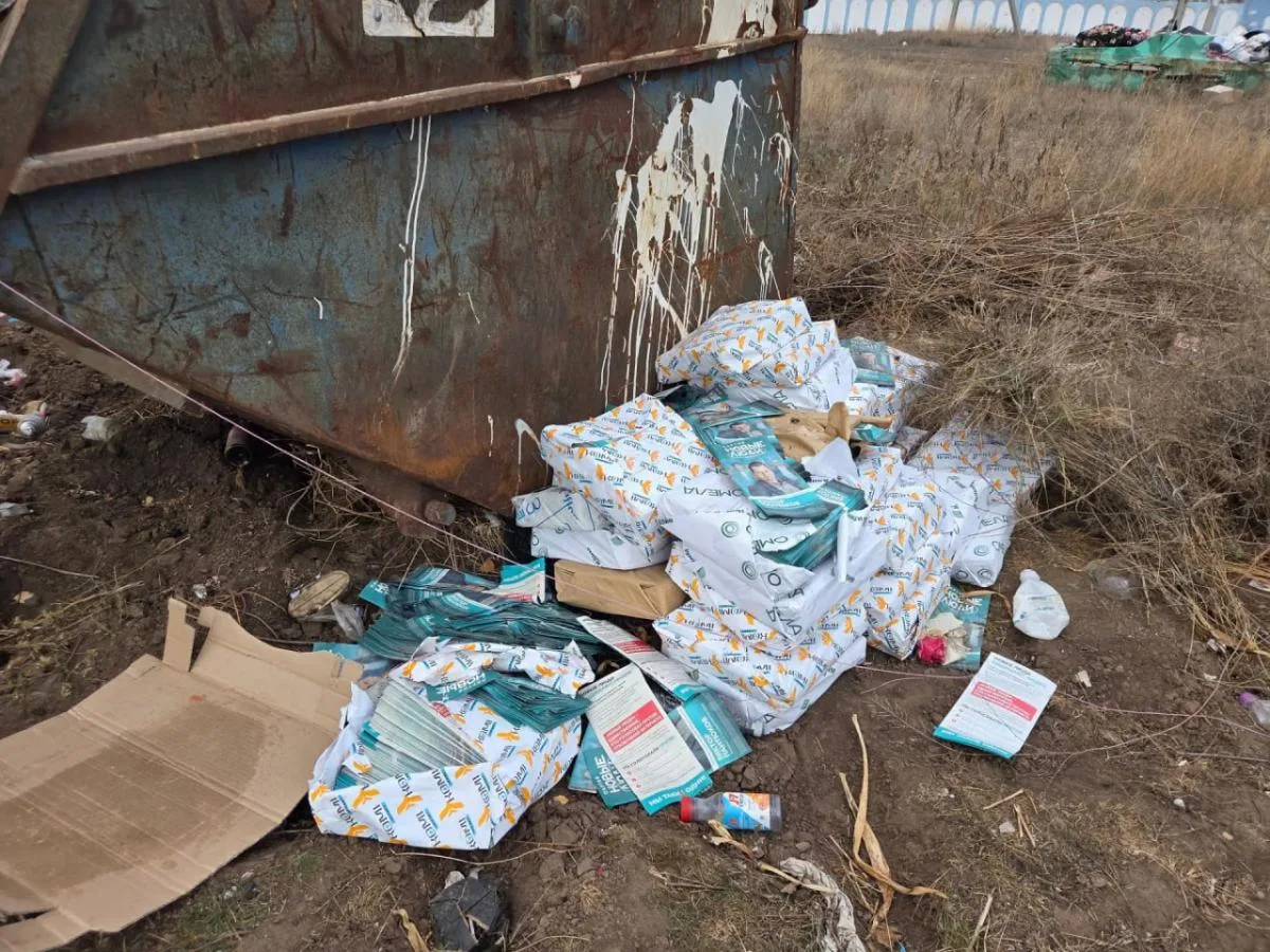 На кладбище села Шумейка в Энгельсском районе нашли агитационные материалы кандидата от...