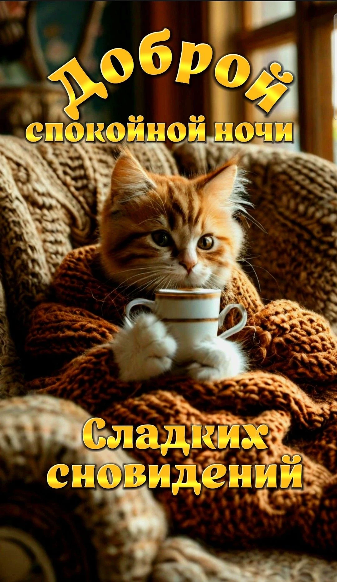 Доброй ночи! Чудесных сновидений! До завтра! ✨🌙