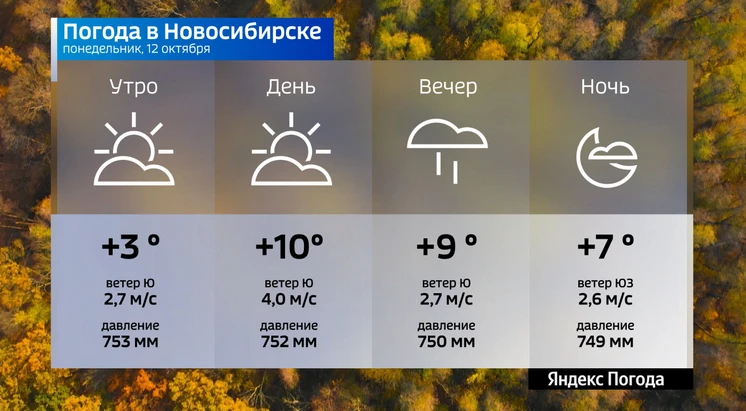 📌  Прогноз погоды на 12 октября 2026 года в Новосибирской области.