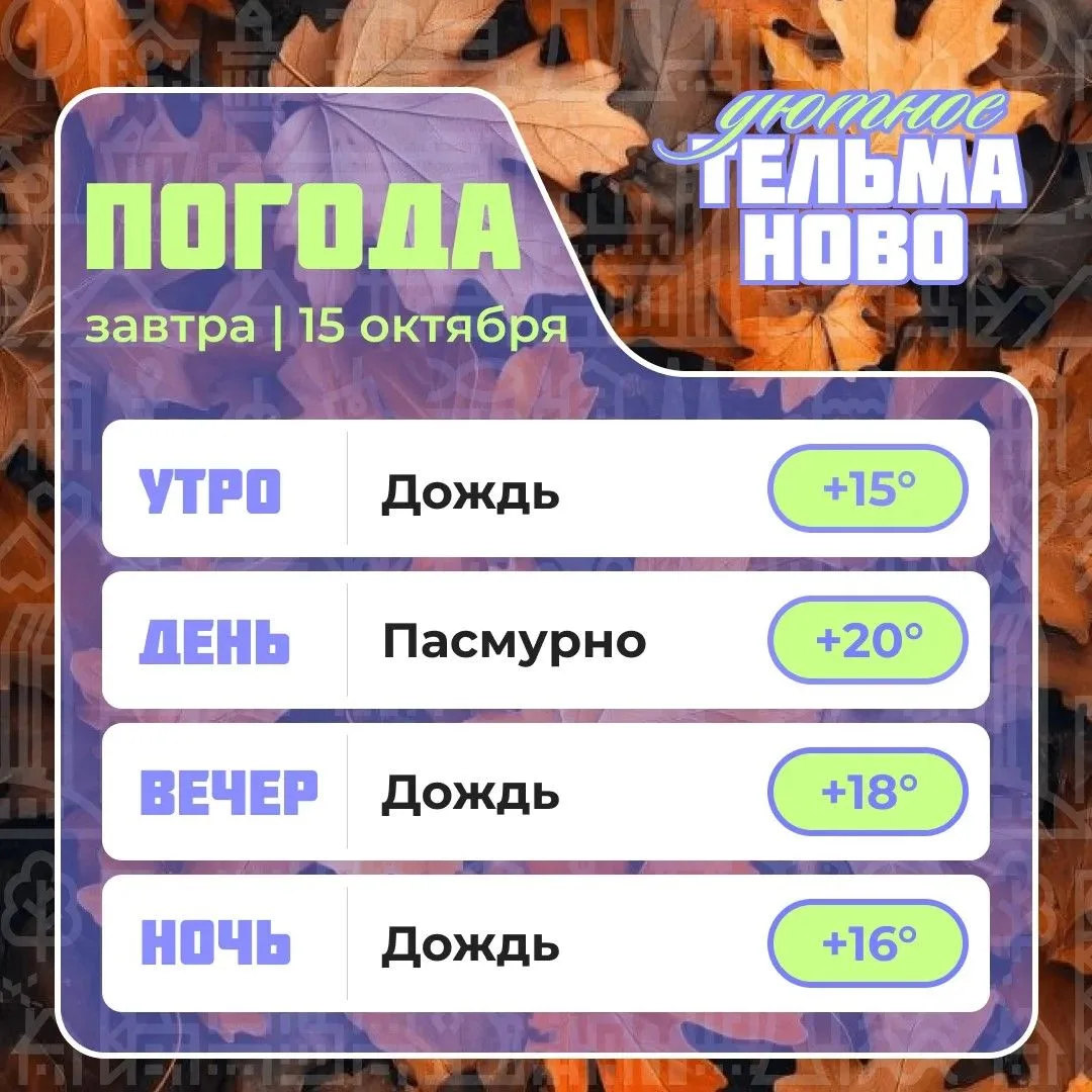 Ваш гид по погоде на завтра🌡