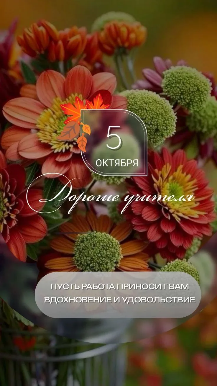 Дорогие учителя, от всей души поздравляю вас с Днём учителя!