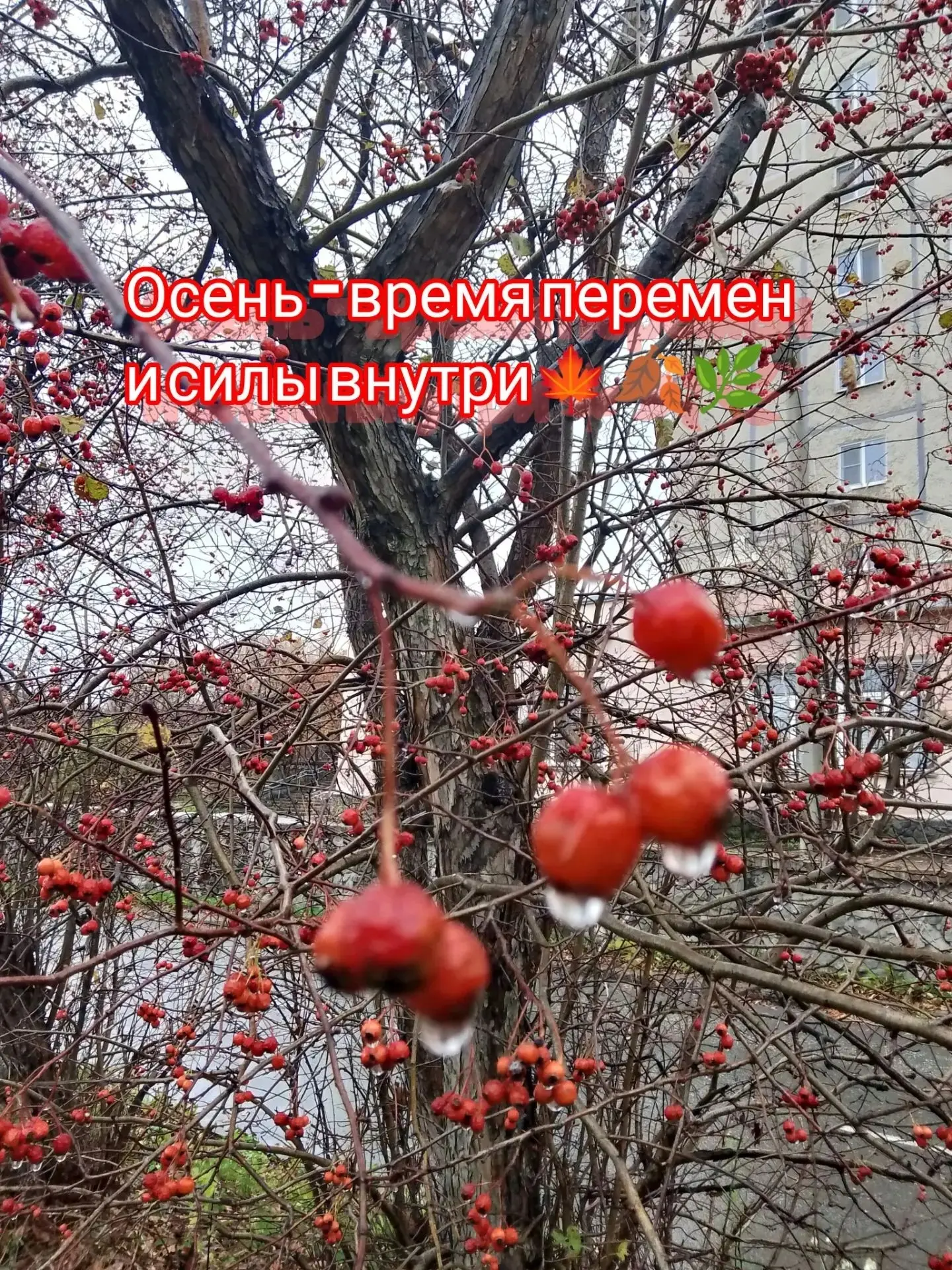 Тёплый октябрьский пост: когда «надо» громче, чем "хочу" 💛