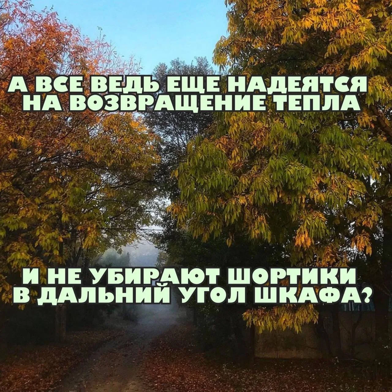 Ссылка на канал в МАХ: https://max.ru/m_chernosliv