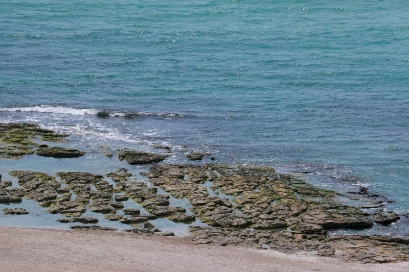 🌊 Путин анонсировал программу по изучению Каспийского моря до 2030 года