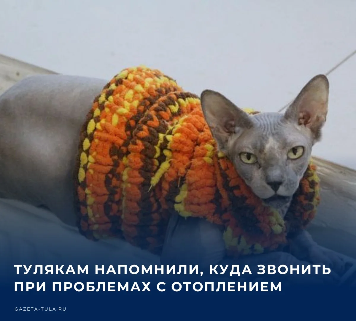 🔥 Администрация города держит на контроле ход отопительного сезона. Если в квартире хо...