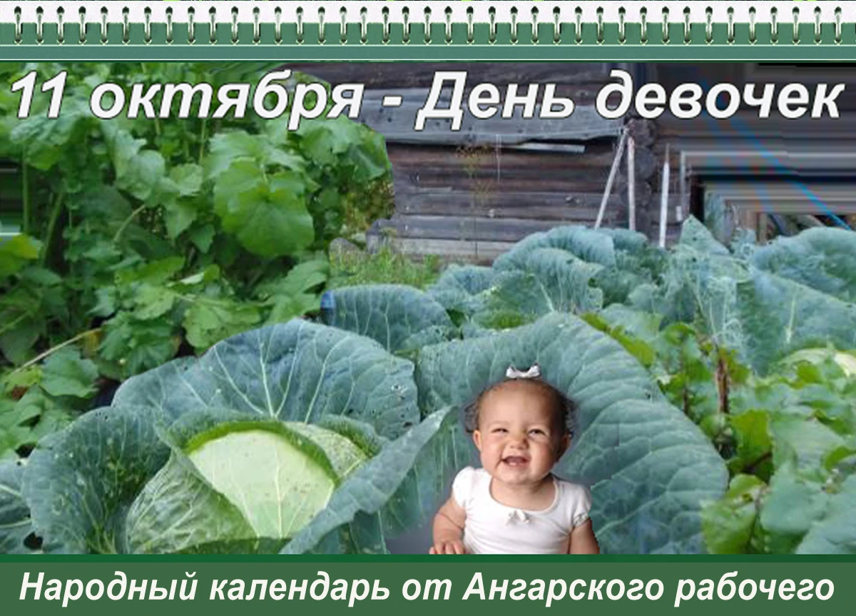 Почему на Харитона не надо мусор из дома выносить – расскажет наш народный календарь