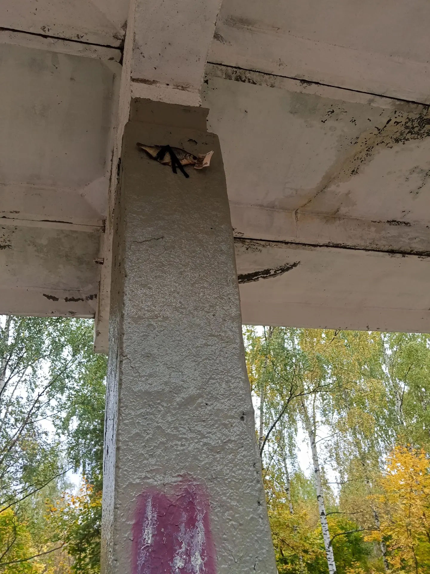 Станция детская