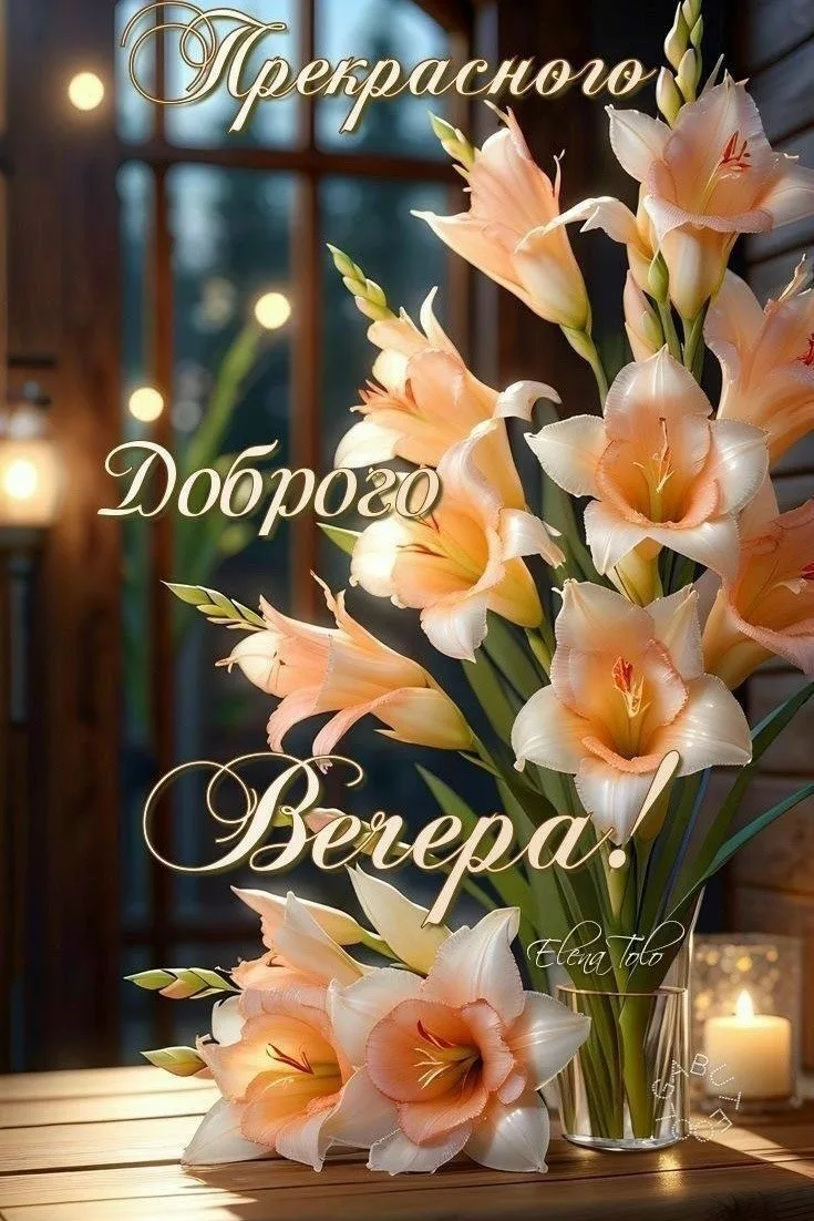 ✨#добрый_вечер