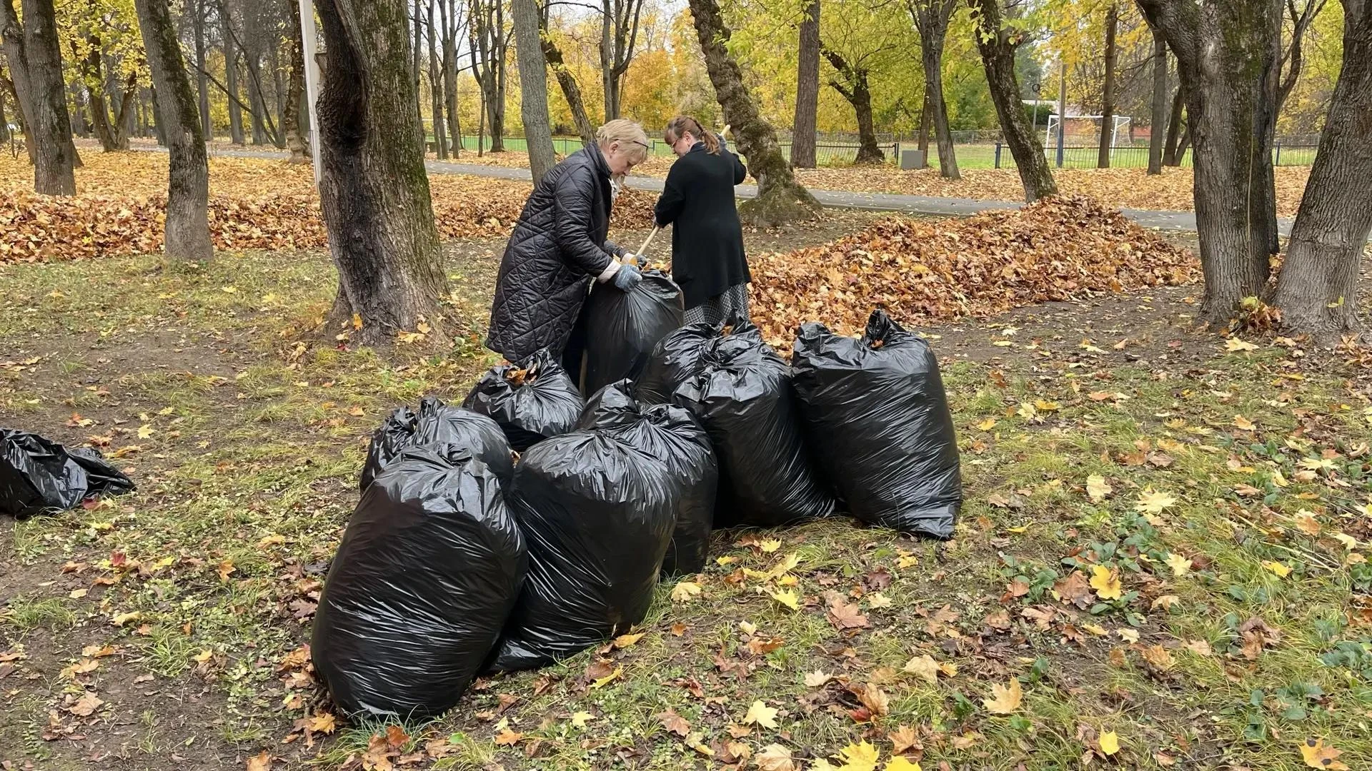 🍂 Субботник по зову сердца! 🍂