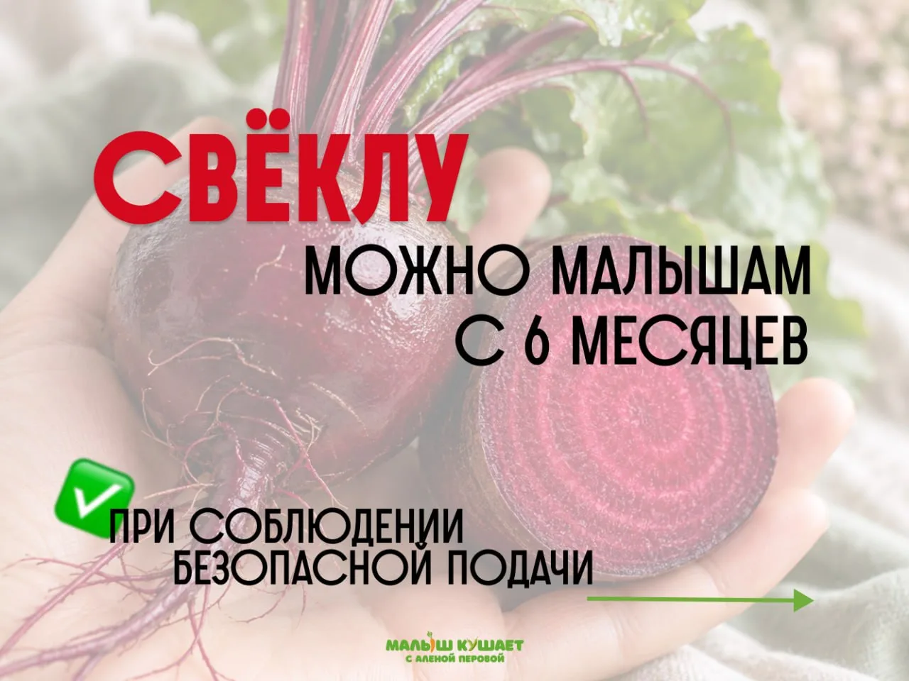 Свёкла в прикорме