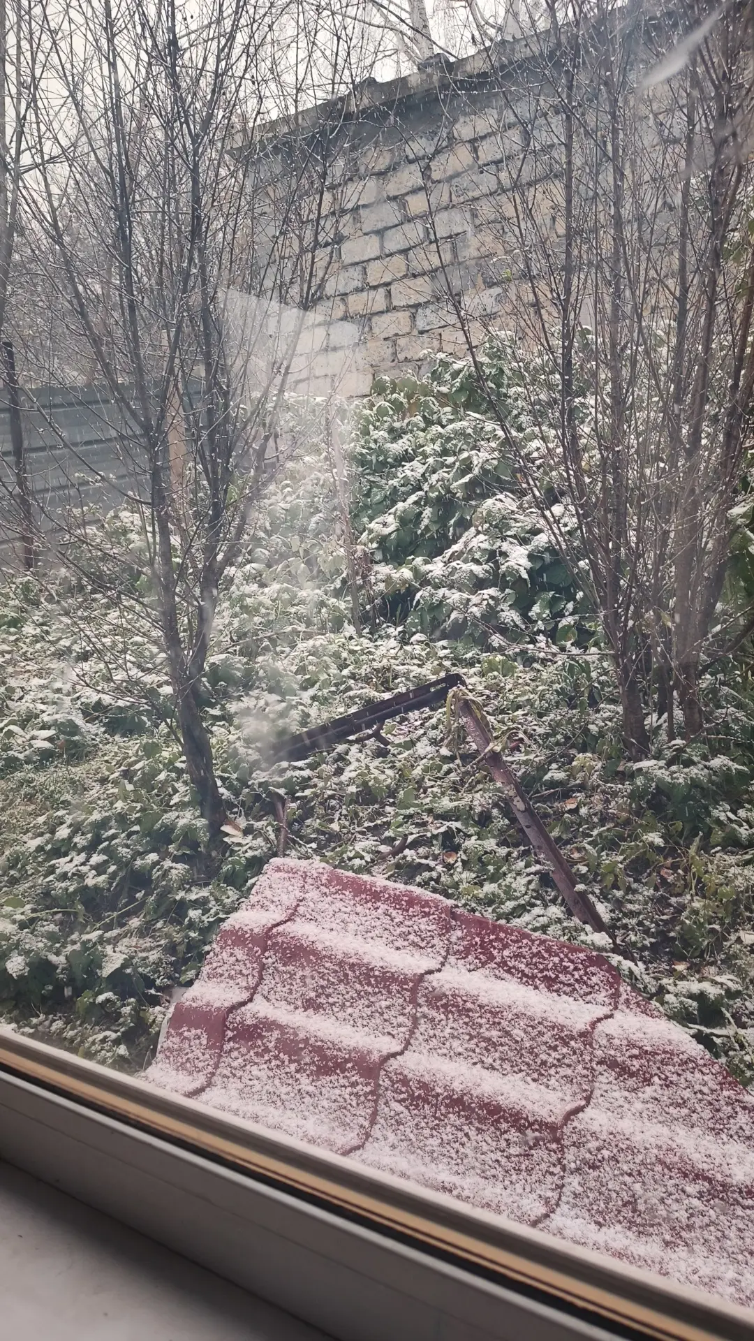 ❄️❄️❄️