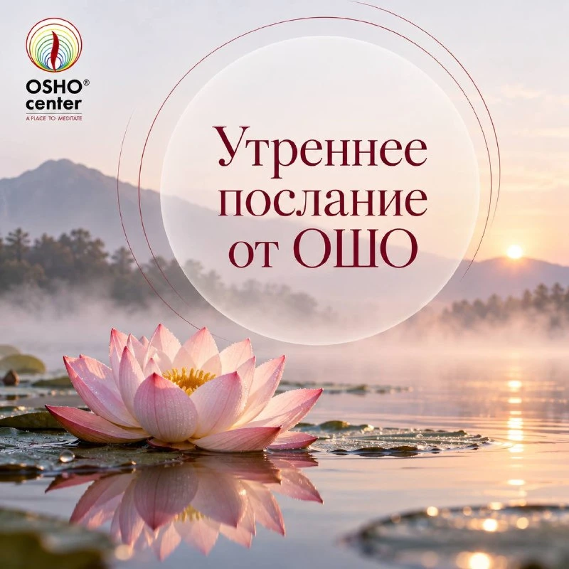 #послание_от_ошо