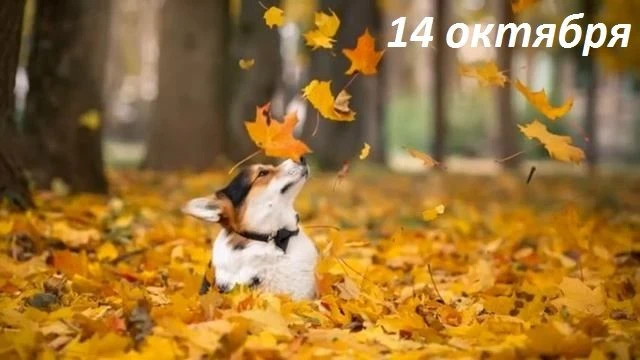 Доброе утро!