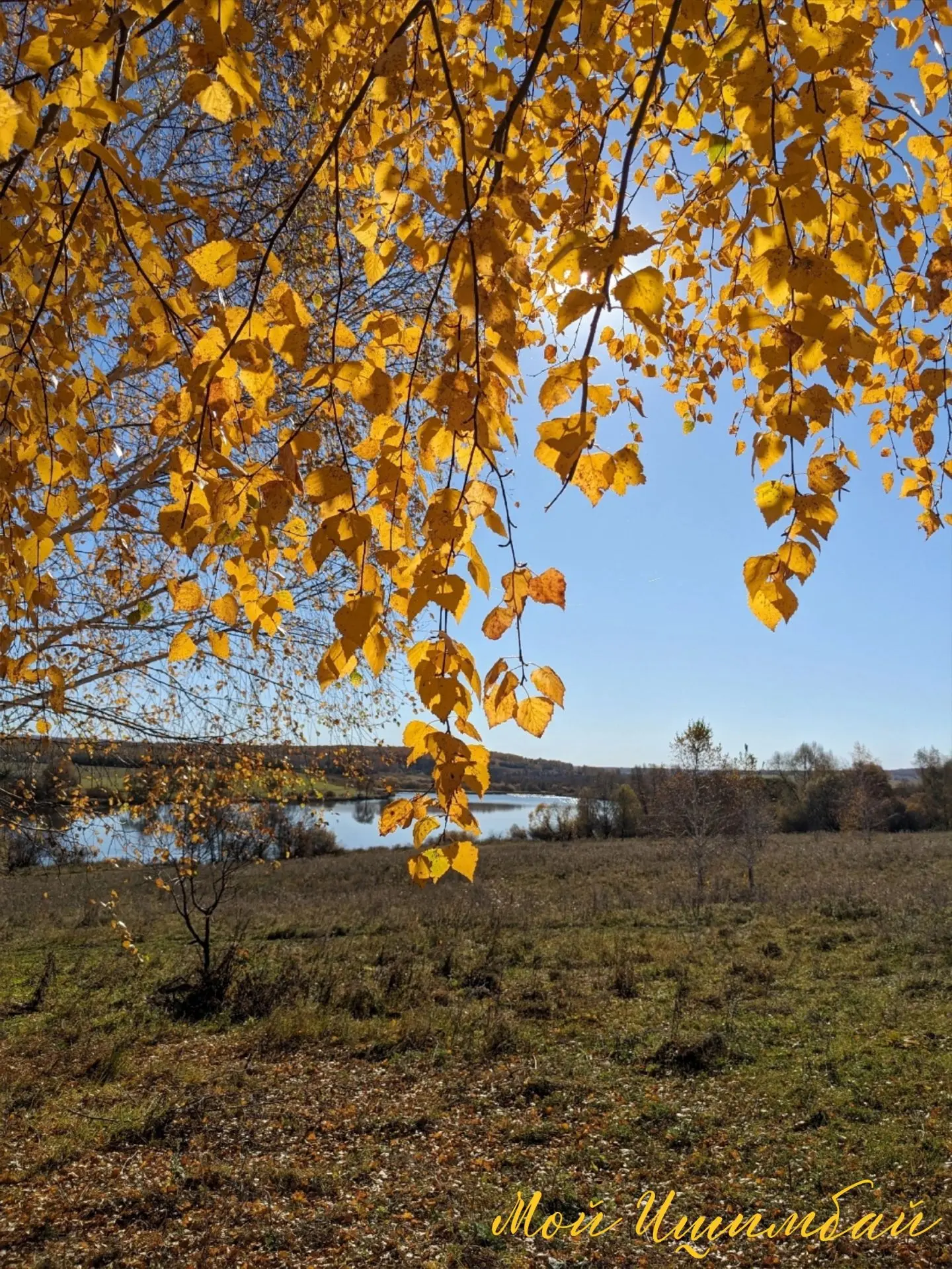 🍂Октябрь на Татьяновском пруду. Ишимбайский район.