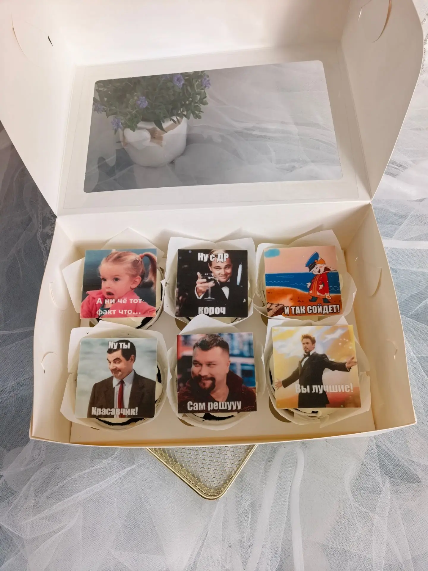 Доброго дня ✨🌞