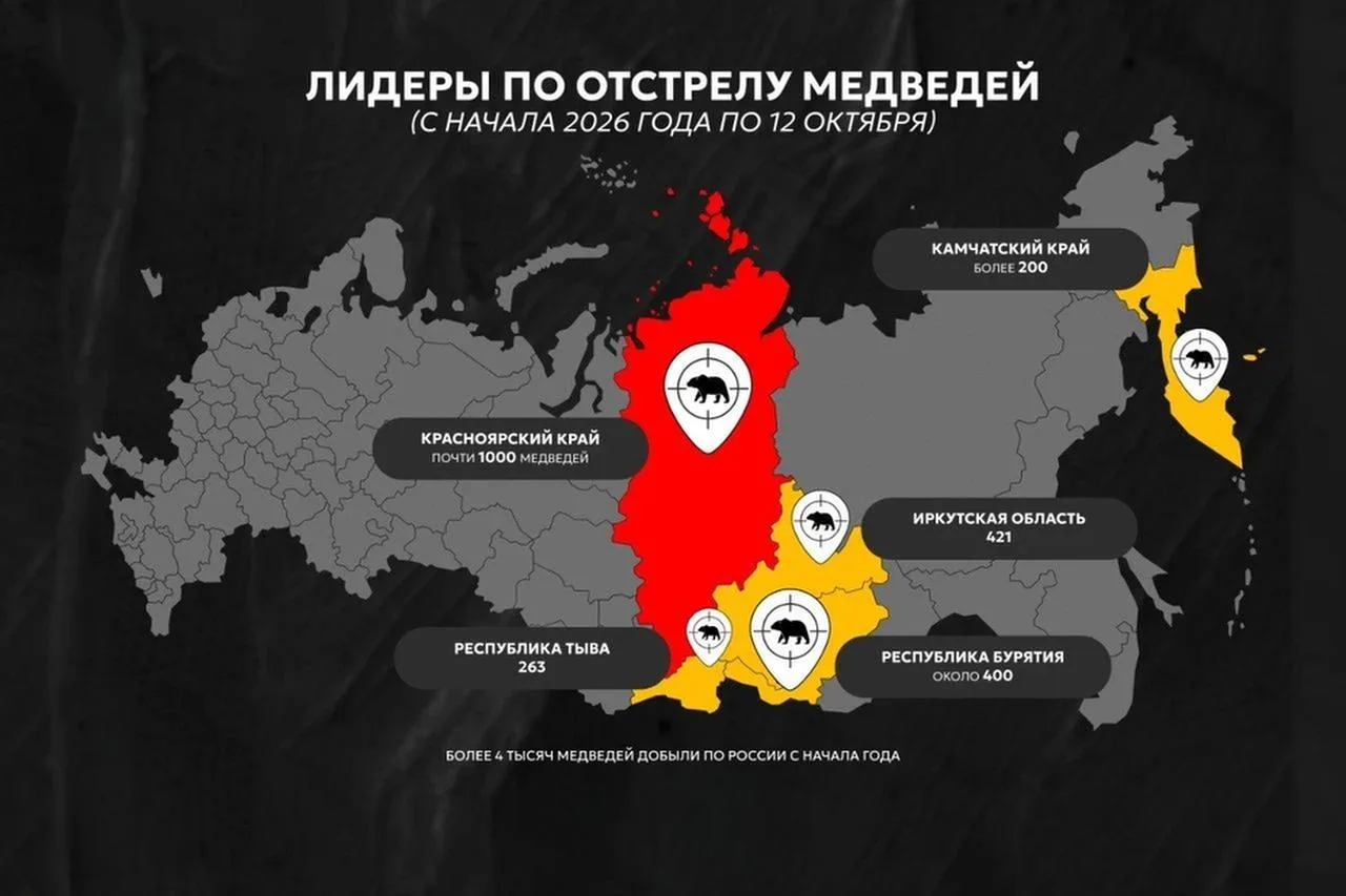 🐾 В России отстрелили уже 4 тысячи медведей!