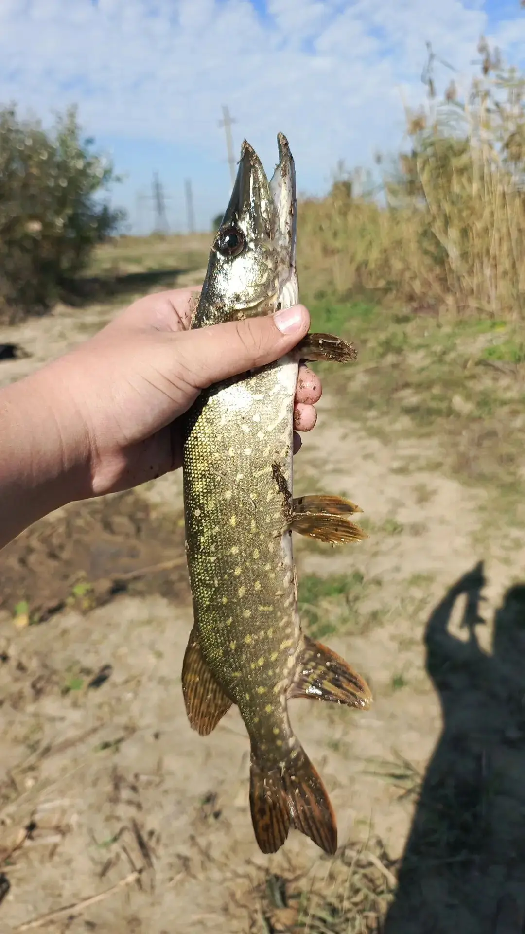 Дорогие друзья! 🤍🎣