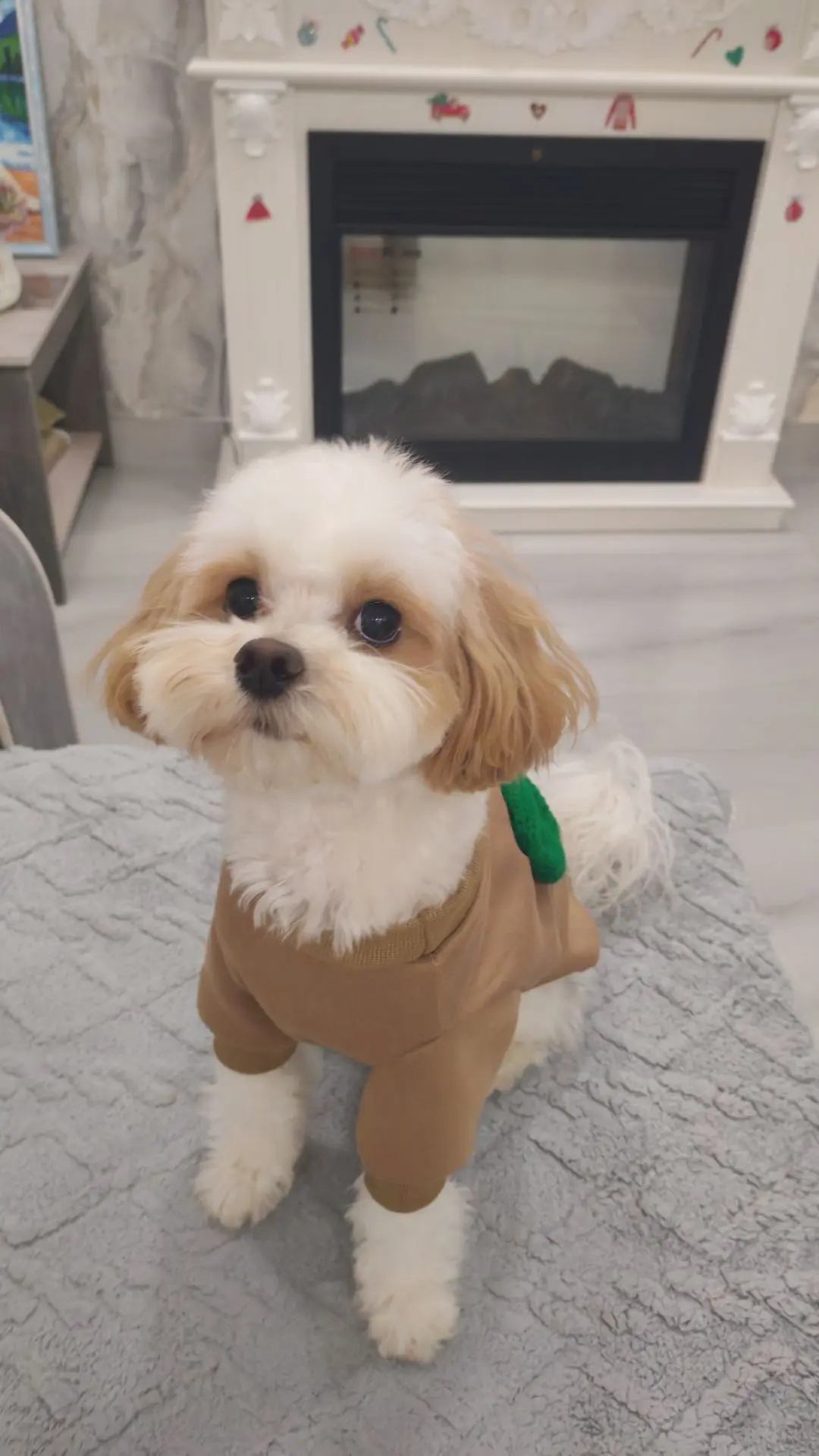 🥰😍