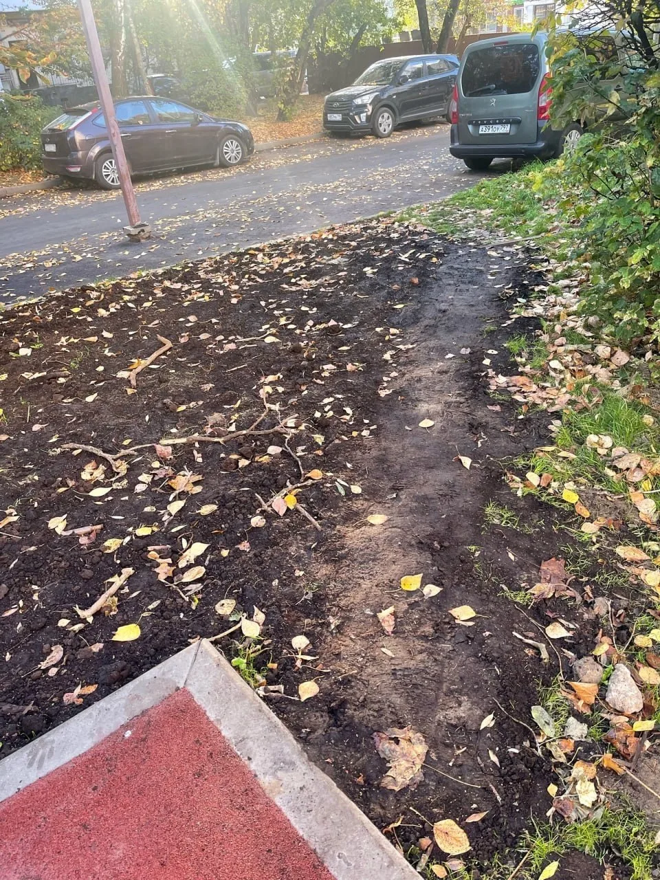 Заасфальтировать народную тропу возле детской площадки на Планерной, 7к4, предлагает со...