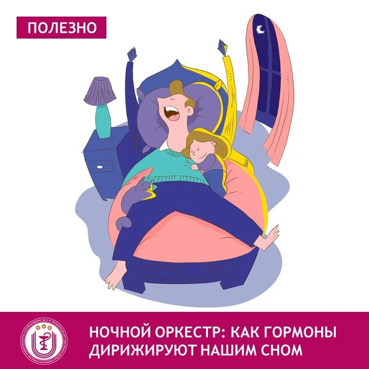 Вы когда-нибудь задумывались, почему с наступлением темноты вас клонит в сон, а утром в...