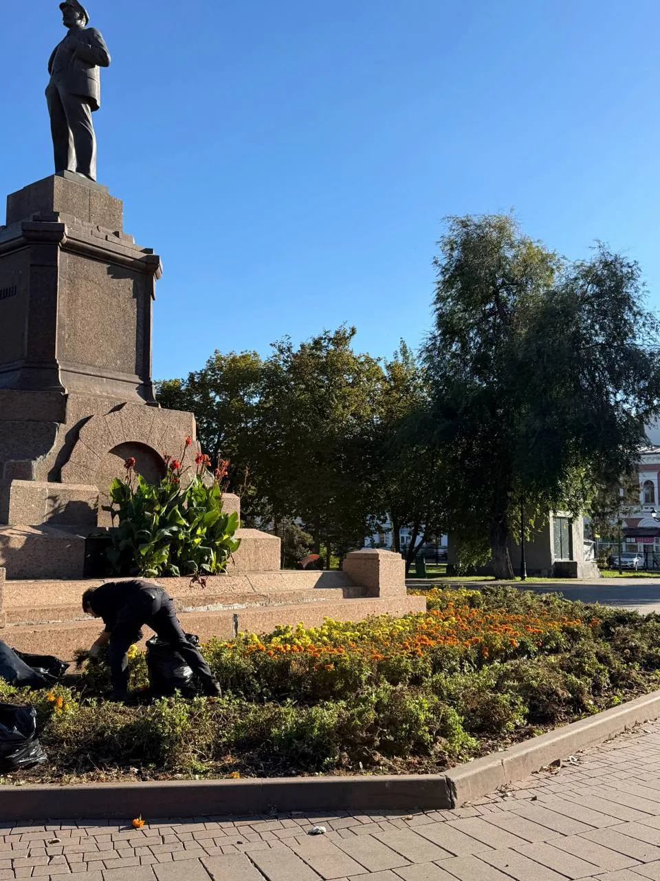 🌹 В Самаре на площади Революции убирают цветы