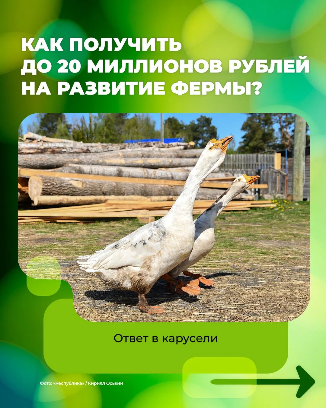 🌾 Государство выделяет до 20 миллионов рублей на развитие ферм в Карелии