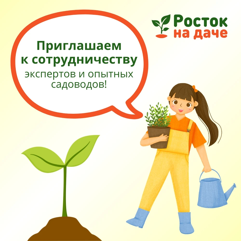 Приглашаем к сотрудничеству экспертов и опытных садоводов!