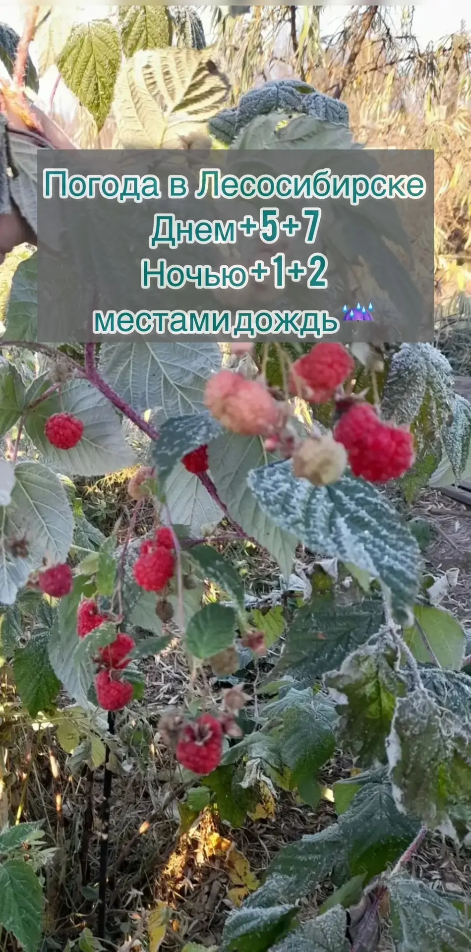 ☀️Доброе утро, друзья!