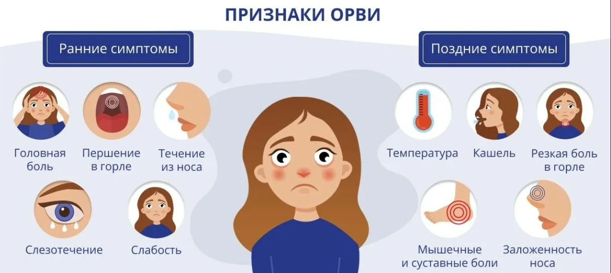 С приходом осени температура окружающей среды резко меняется. Холодные ночи и теплые дн...