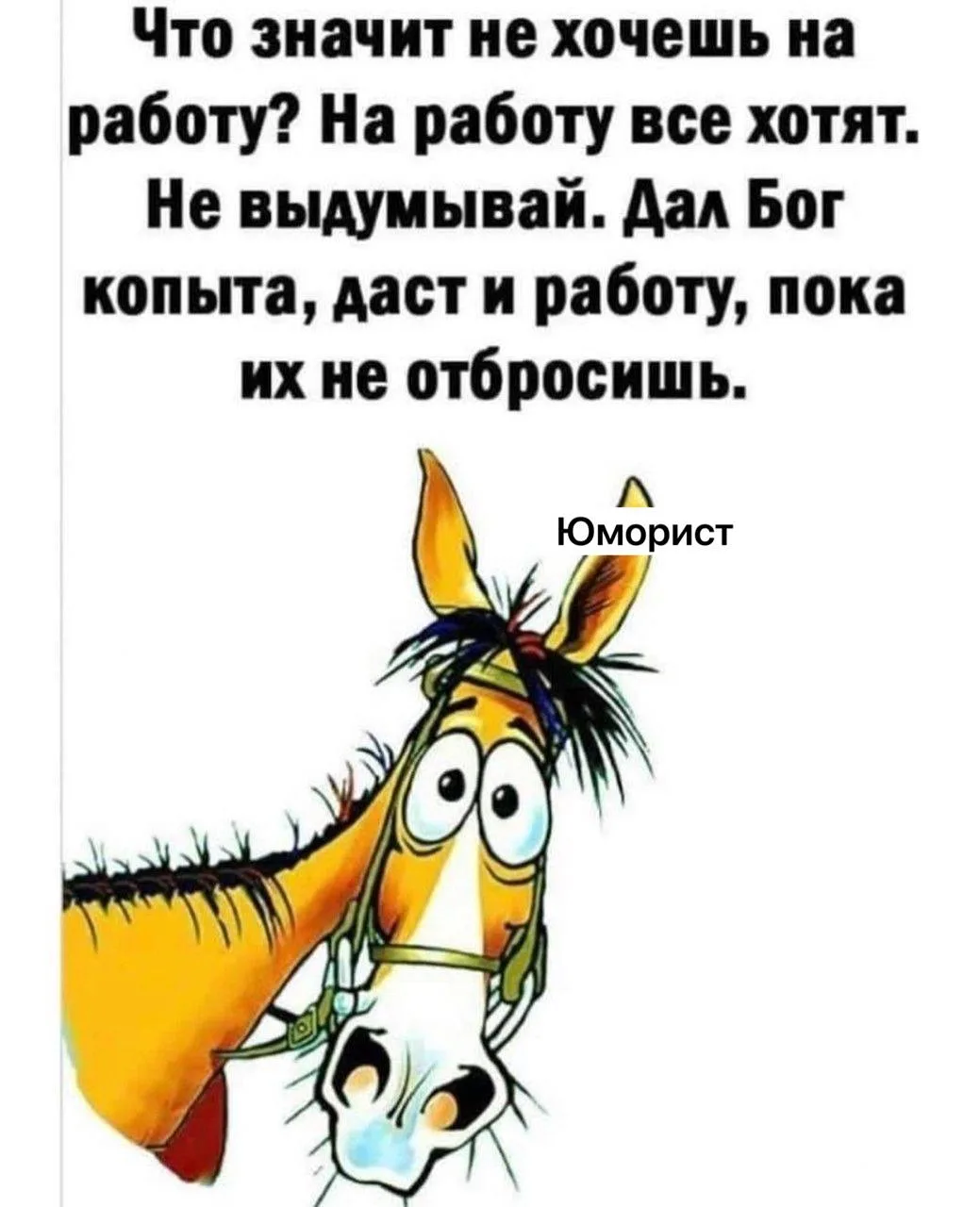 Жизненно 🤣