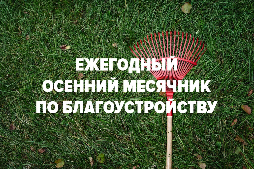 Месячник по благоустройству в Покровском  сельском поселении!!!