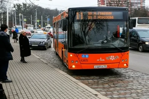 🚌 Водители автобусов в Калининграде увольняются через 1–2 месяца: как решают проблему ...