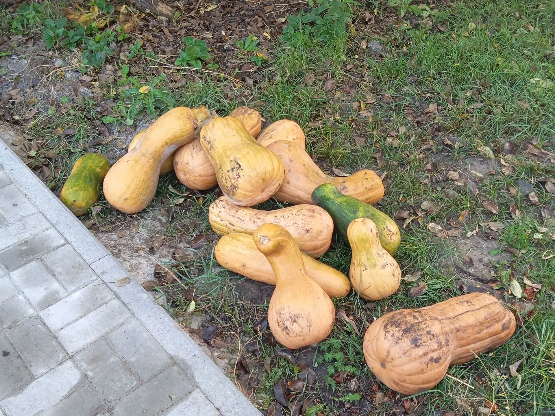 Мёд 🍯 со своей пасеки!