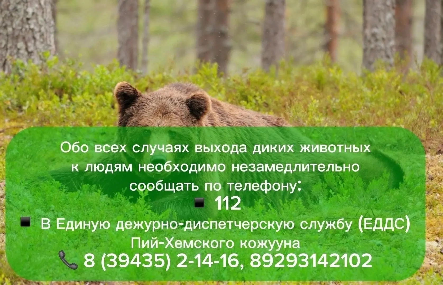 ❗ВНИМАНИЕ