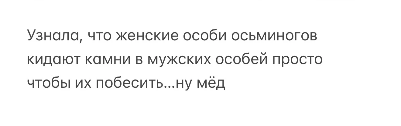 Все мы нет-нет, да женские особи осьминогов