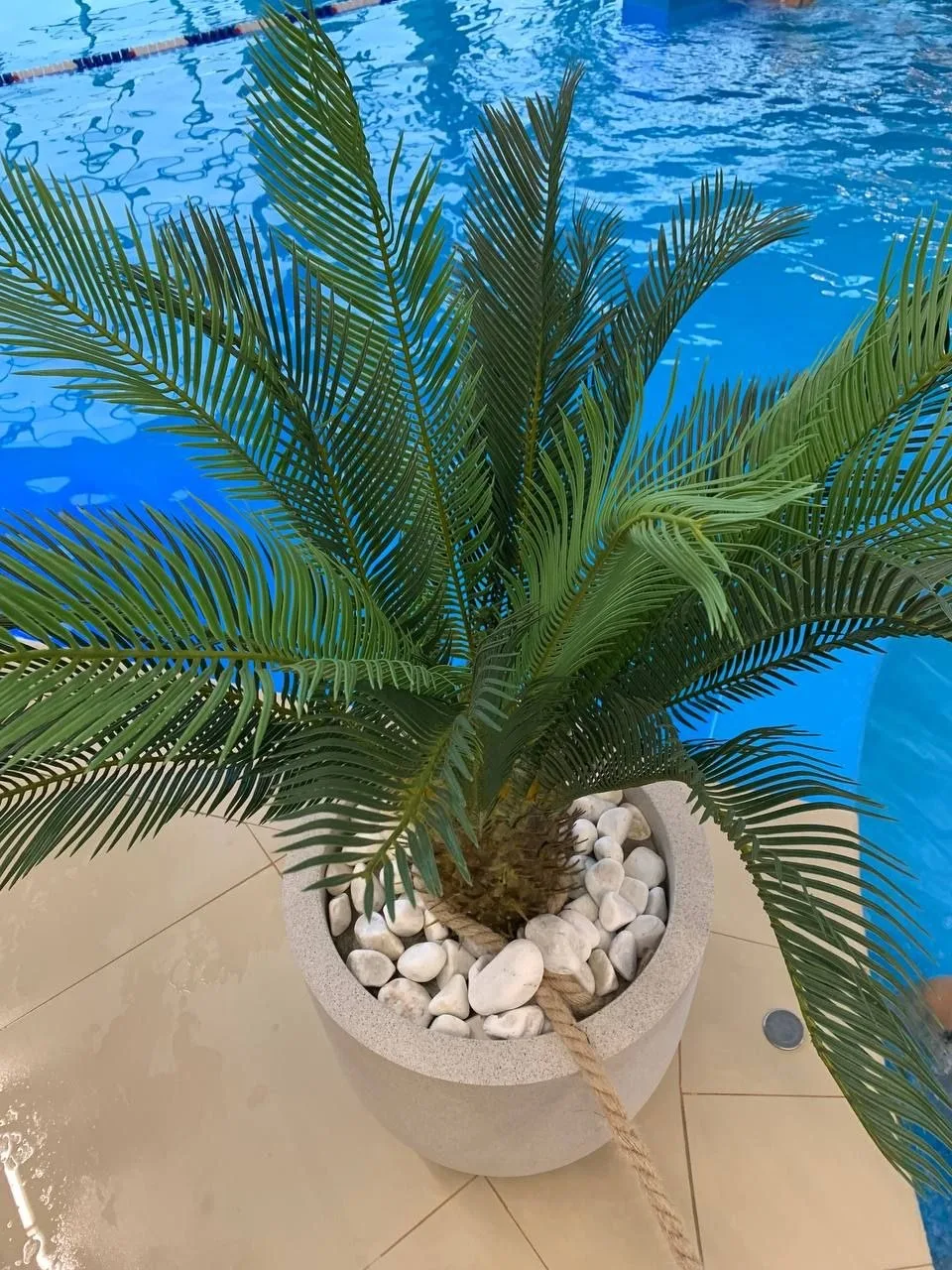 Погода какая стоит, золотая осень.🤩Красота невероятная. А что если совместить осень и ...