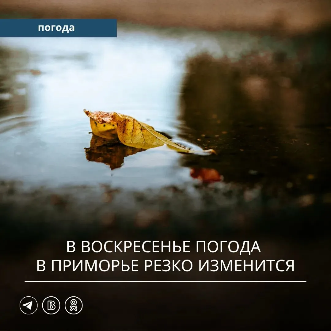 ☀️ Сегодня, 16 октября, атмосферное давление будет расти, осадков не ожидается. По прог...