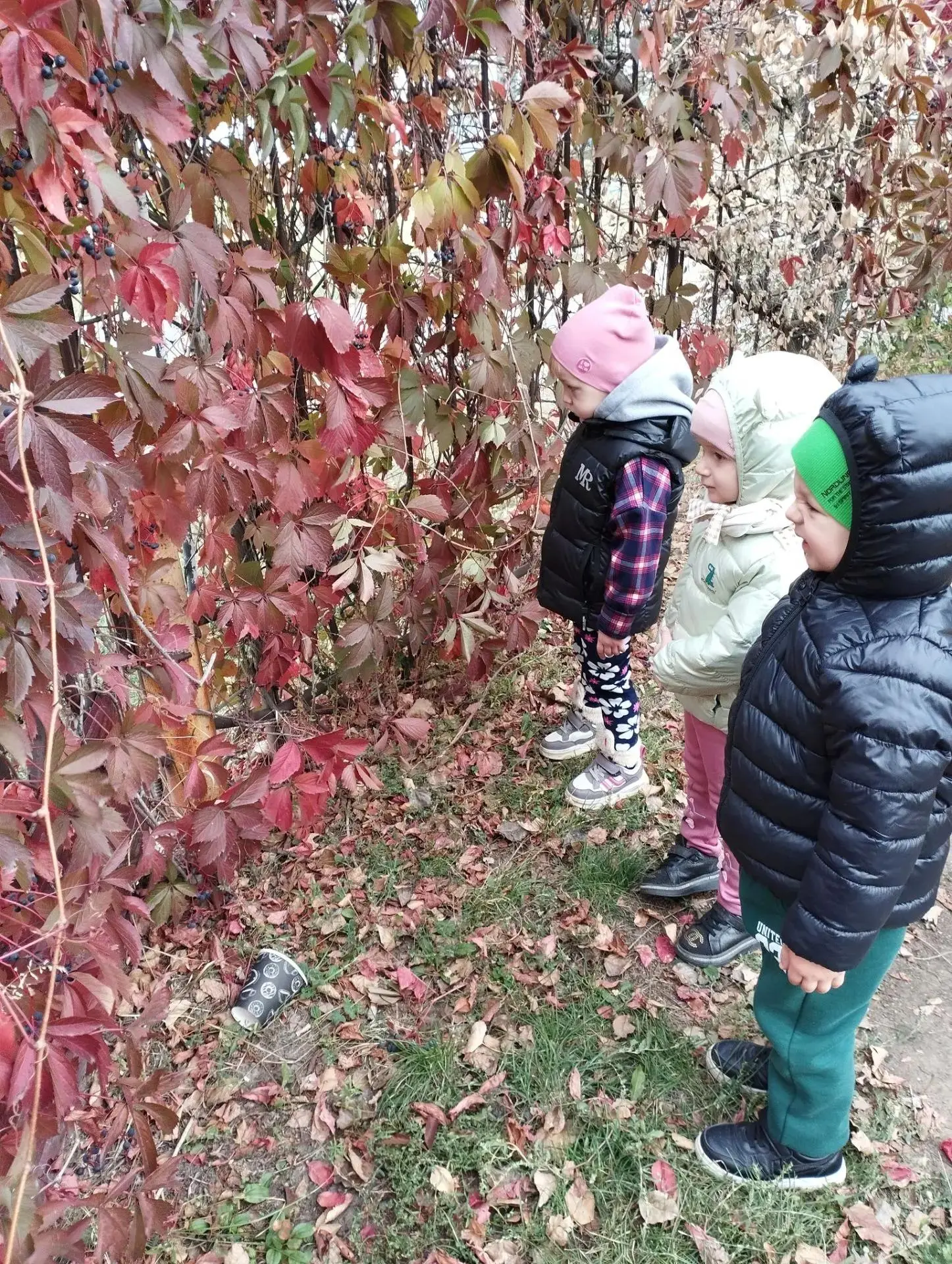 🍁🍂🍃 Осень — это настоящее чудо, время, когда природа раскрывает свои яркие краски и ...