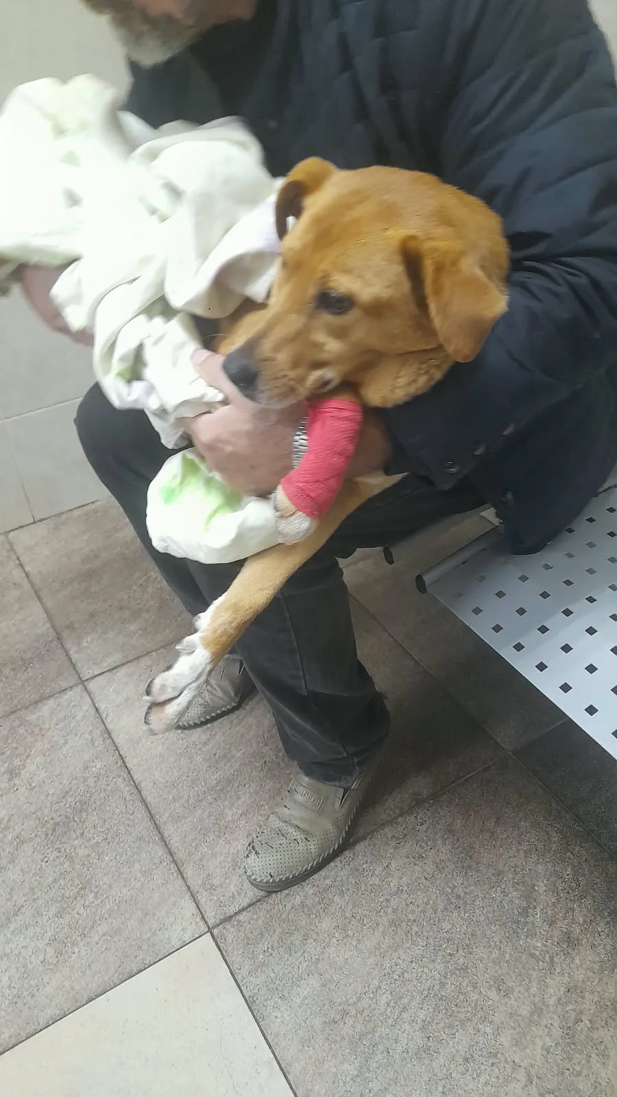 Ириска в вет клинике ждет КТ... она  одна из тех,  чья жизнь лежит в ваших ладонях и за...