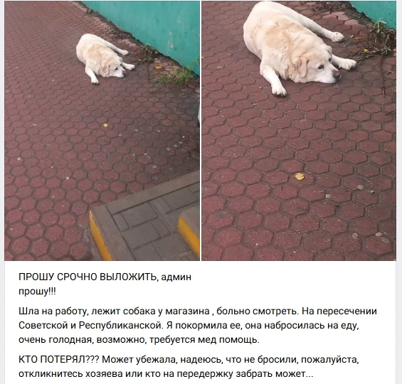 Пост добра. Распространите, пожалуйста.