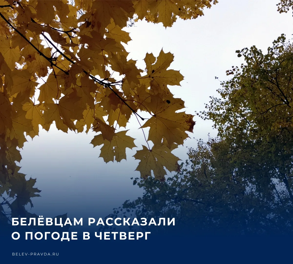 ☁️ Бодрое утро, Белёв! Сегодня в нашем городе по прогнозам синоптиков в течение всего д...
