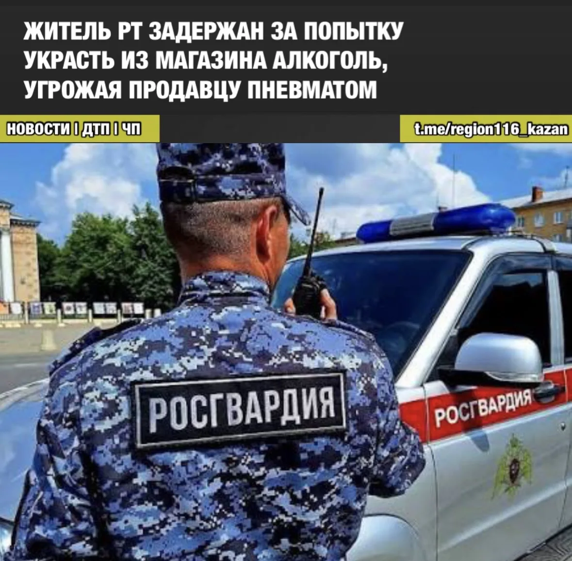 39-летний житель Васильево пришел в магазин на улице Школьной, достал пневматический пи...