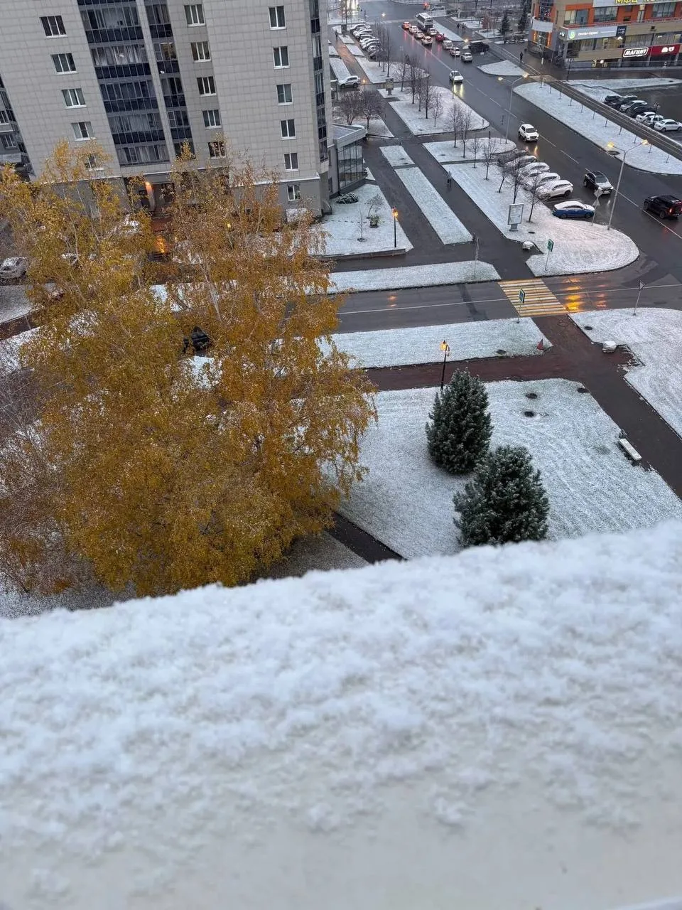 ❄️ Сегодня утром в Новосибирске выпал первый снег