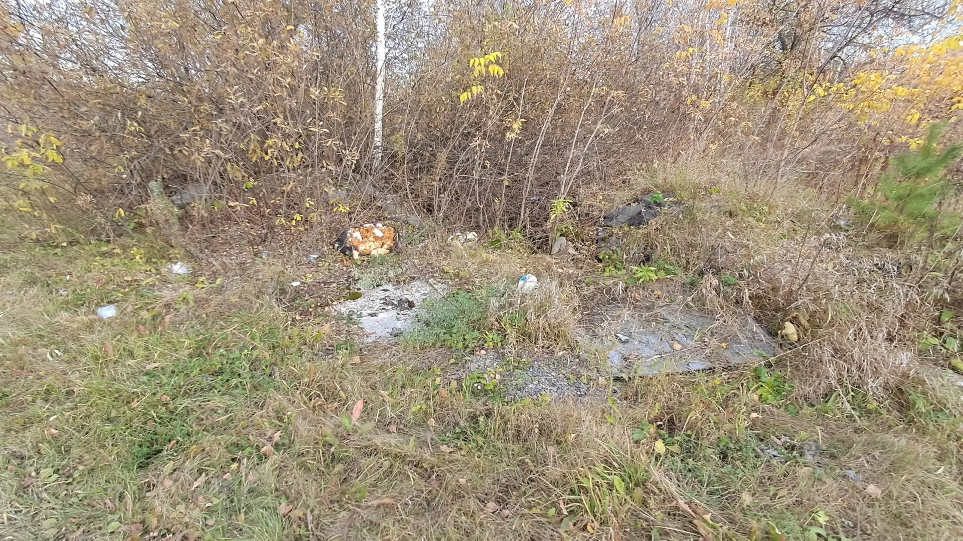 Мало приятного заниматься такими публикациями, но ещё менее приятно ездить и ходить дом...
