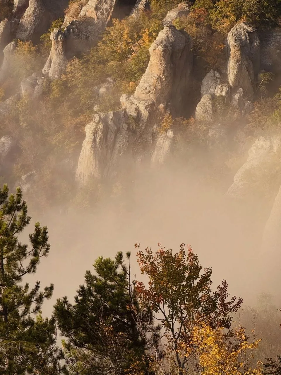 Сказка осеннего Крыма на горе Демерджи
