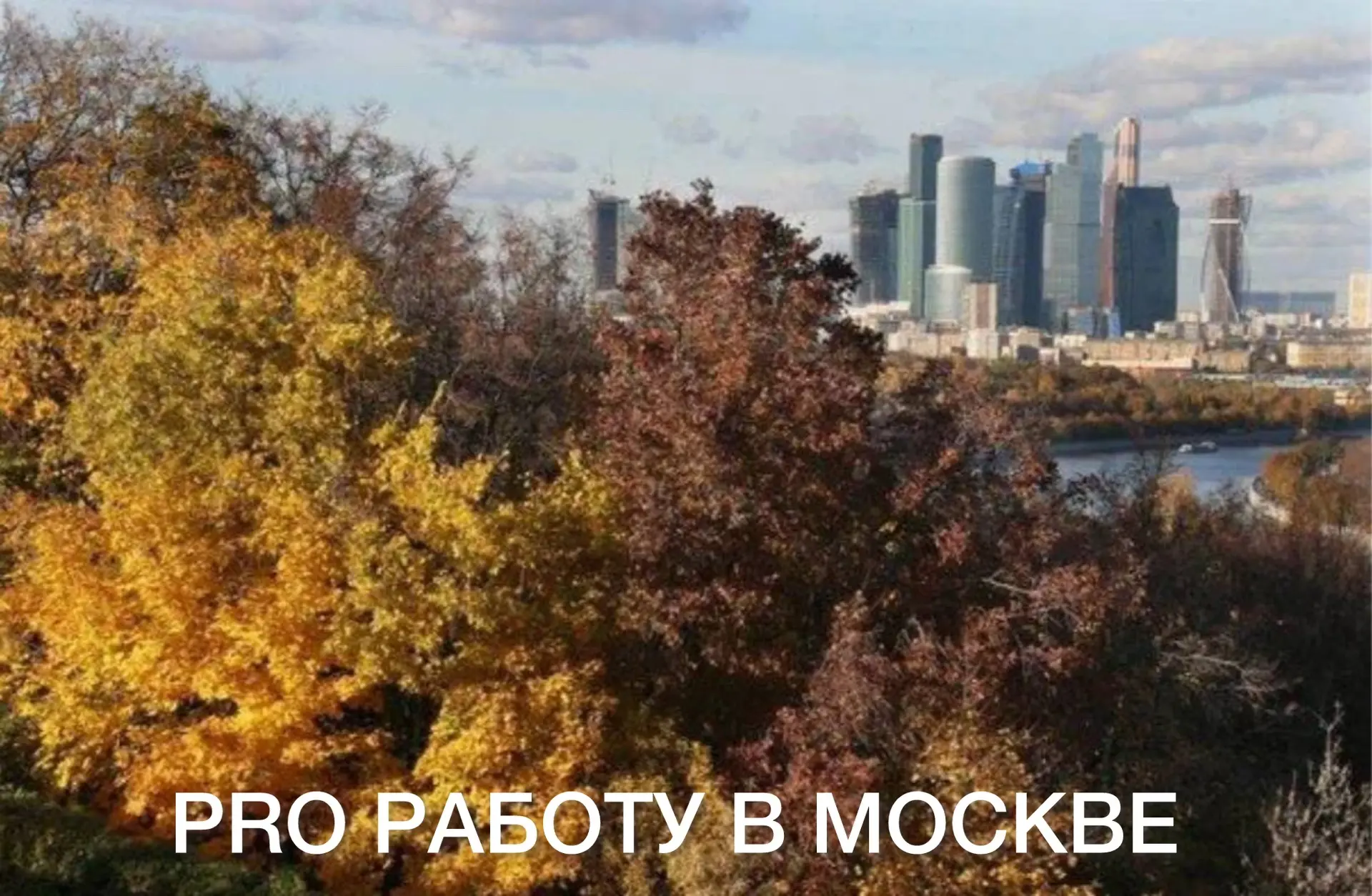 Приемщик заказов в Сеть химчисток "Диана"