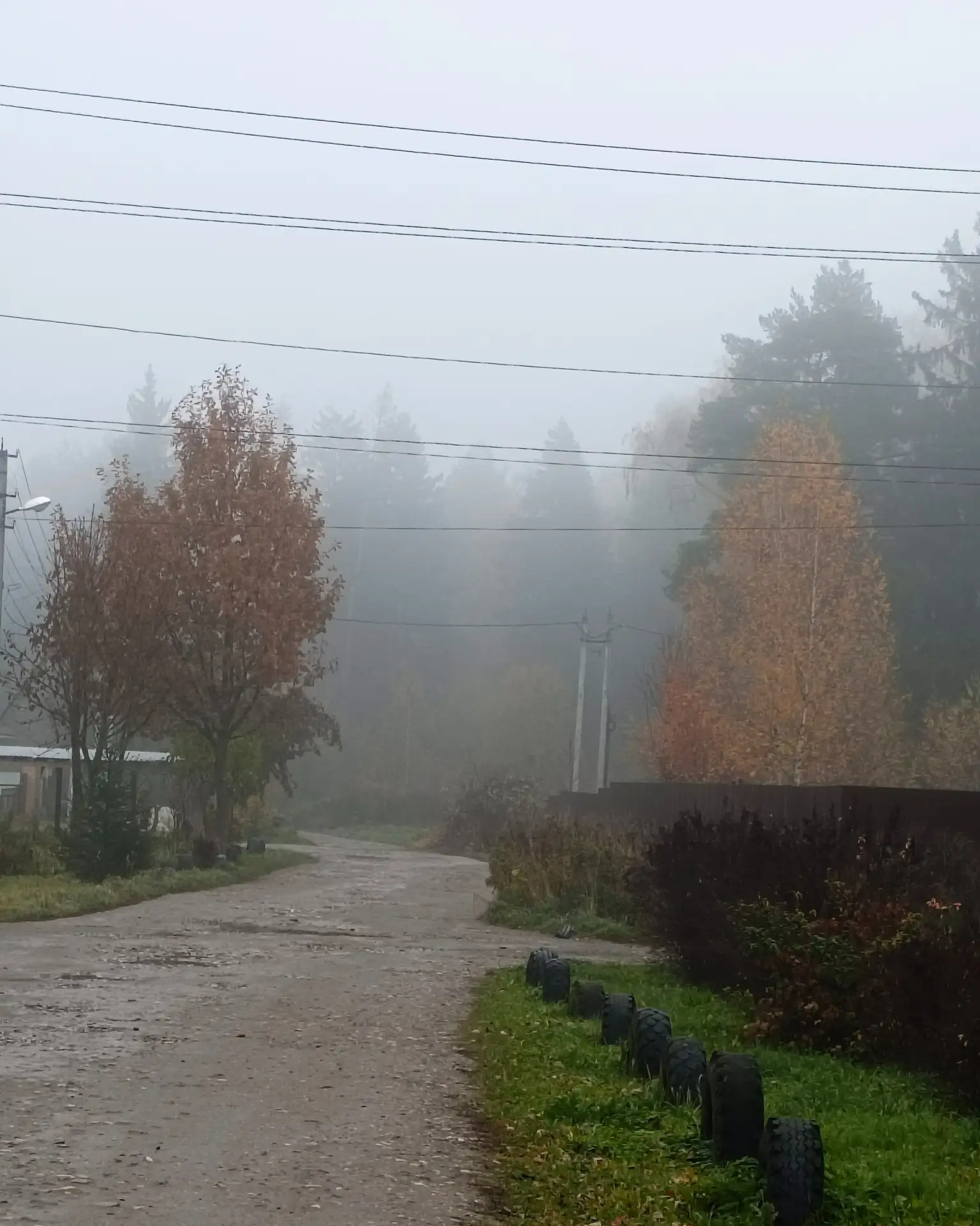🌁 Доброго, туманного утра всем! Заметили, какое было солнышко?