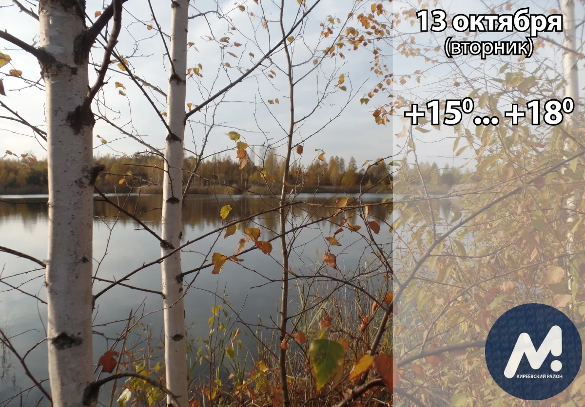 ☁️ 13 октября: погода в Киреевском районе и народные приметы дня​